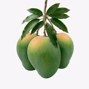 গোবিন্দভোগ আম 12 KG